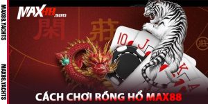 Cách chơi Rồng Hổ Max88